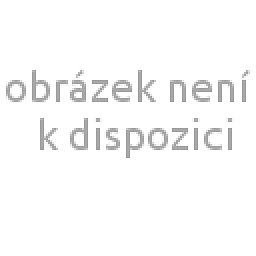 Obrázek pro produkt Brusný papír P100 pro brusku DS (bal.10ks)